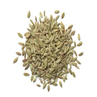 fennel-seeds4-1.jpg
